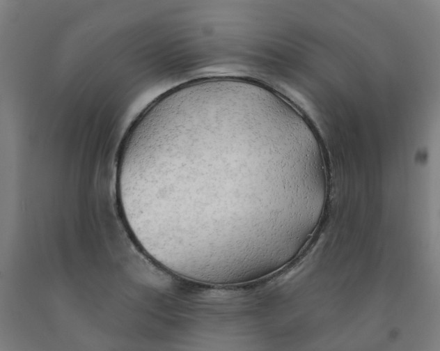 X0000091971179200709271401