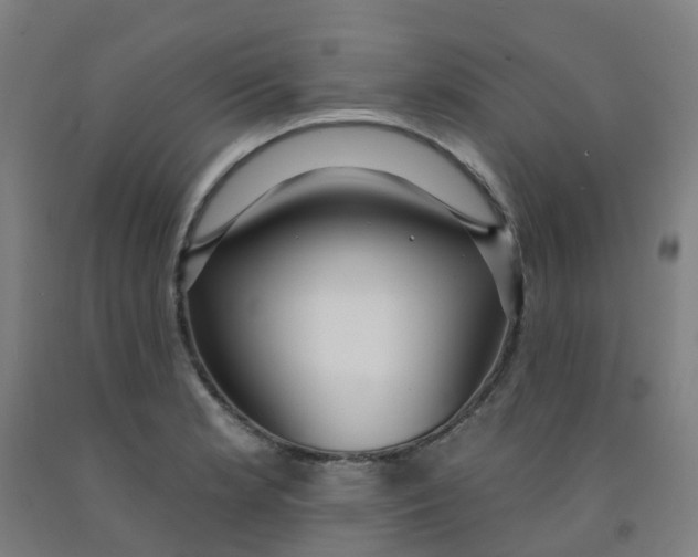 X0000091971181200709271401