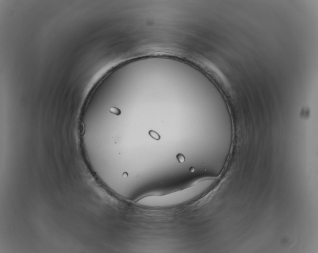 X0000091971182200709271401
