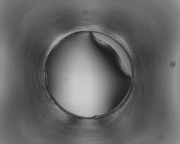 X0000091971184200709271401