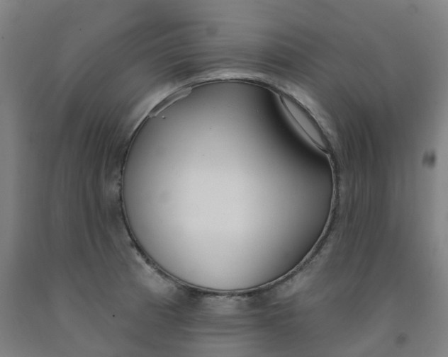 X0000091971185200709271401