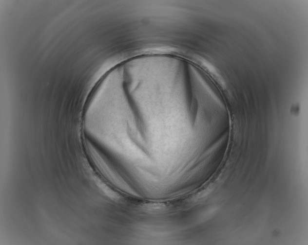 X0000091971186200709271401