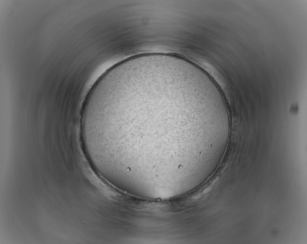 X0000091971187200709271401