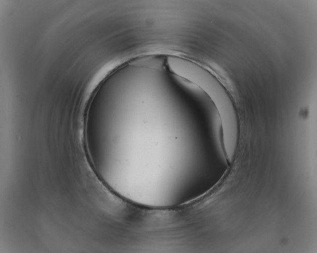 X0000091971188200709271401