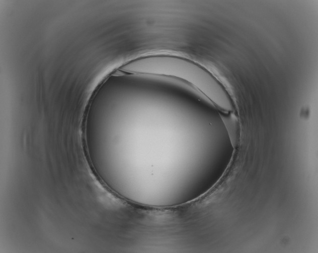 X0000091971189200709271401