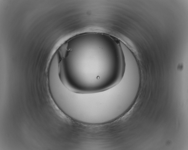 X0000091971192200709271401