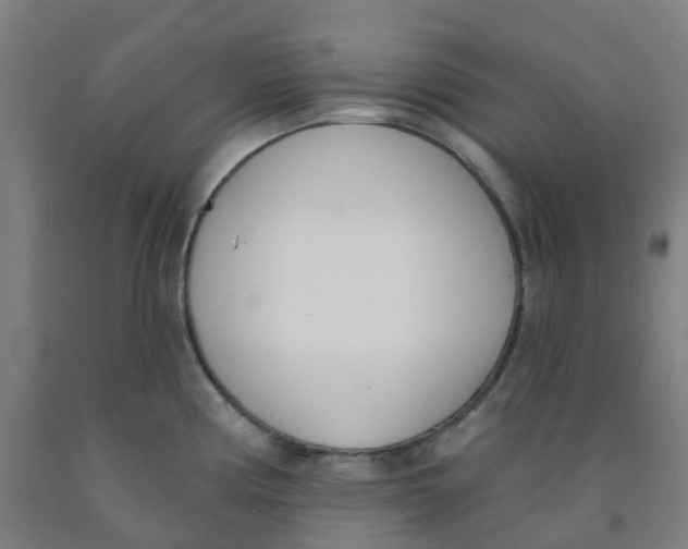 X0000091971194200709271401