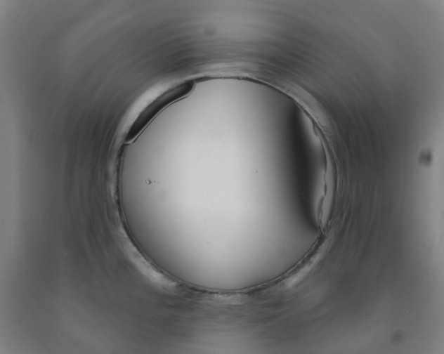 X0000091971196200709271401