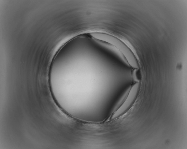 X0000091971197200709271401