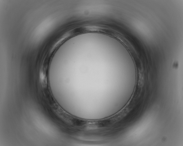 X0000091971198200709271401