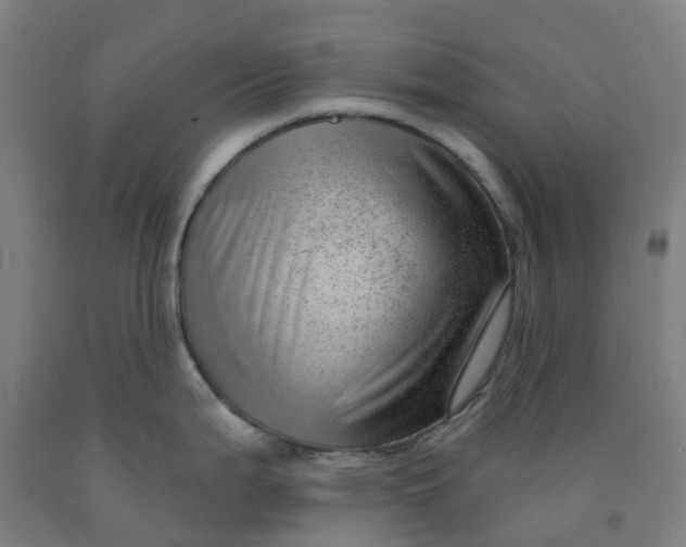 X0000091971199200709271401