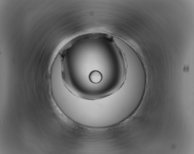 X0000091971200200709271401