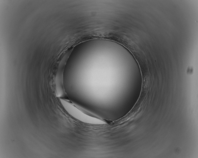 X0000091971202200709271400