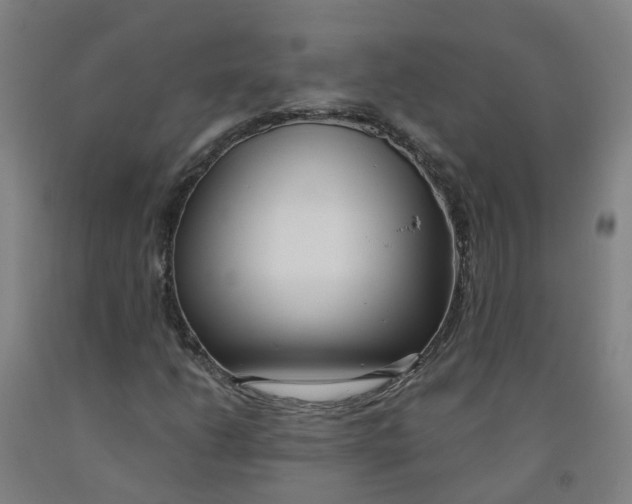 X0000091971206200709271400