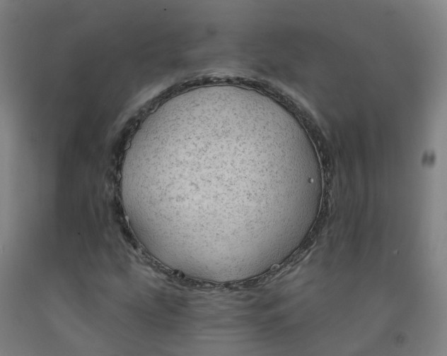 X0000091971207200709271400