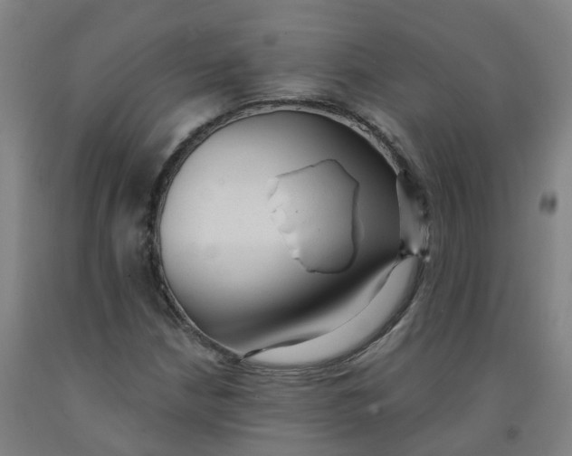 X0000091971210200709271400