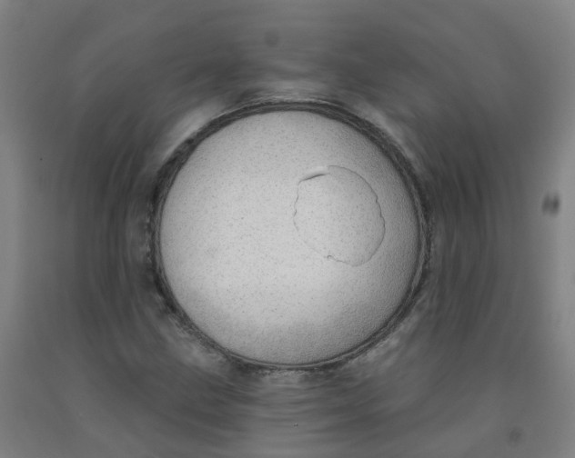 X0000091971211200709271400