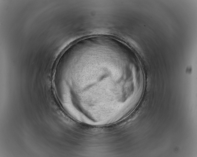 X0000091971212200709271400