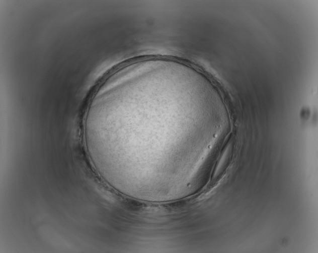 X0000091971215200709271400