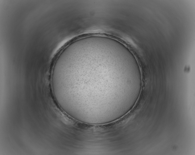 X0000091971216200709271400
