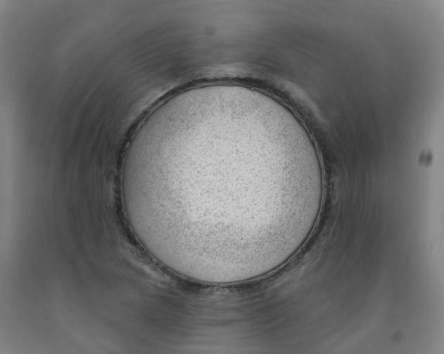 X0000091971217200709271400