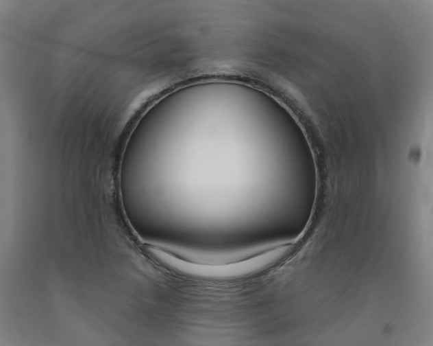 X0000091971218200709271400