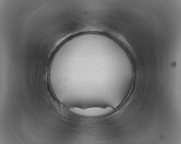 X0000091971220200709271400
