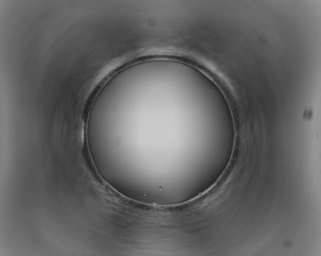 X0000091971221200709271400