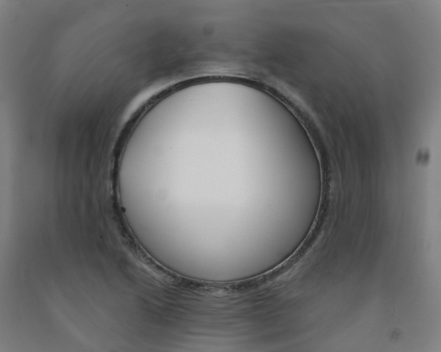 X0000091971222200709271401