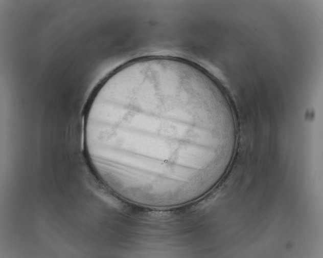 X0000091971223200709271401