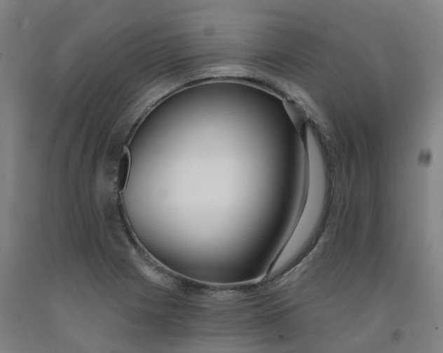 X0000091971225200709271401