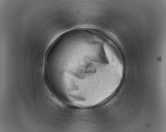 X0000091971228200709271401
