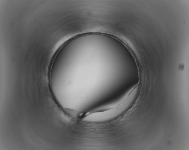 X0000091971230200709271401