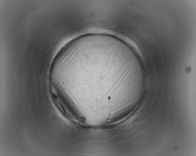 X0000091971231200709271401