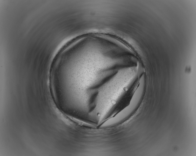 X0000091971232200709271401