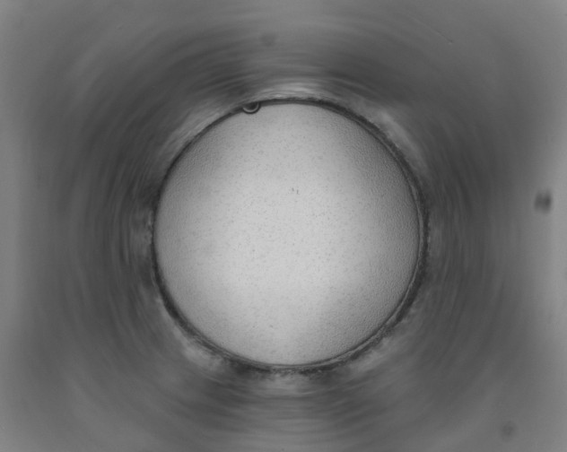 X0000091971233200709271401