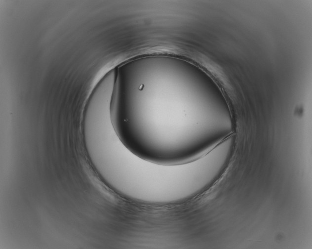 X0000091971234200709271401