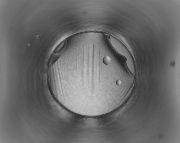 X0000091971235200709271401