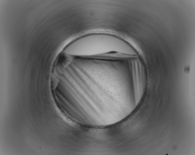 X0000091971237200709271401