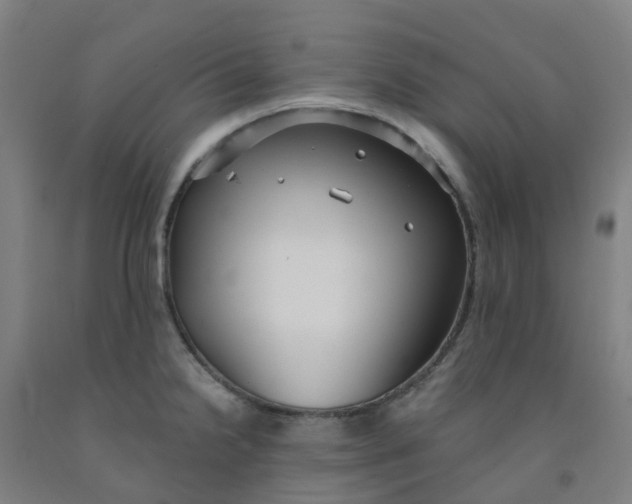X0000091971238200709271401