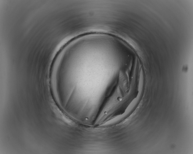 X0000091971240200709271401
