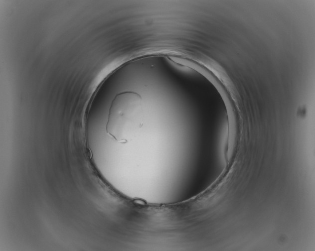 X0000091971242200709271401