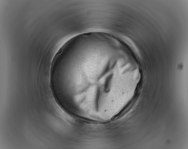 X0000091971244200709271401