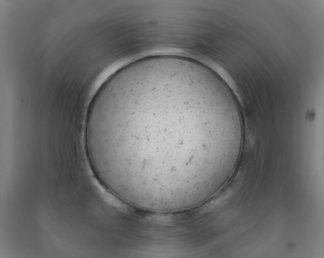 X0000091971245200709271401