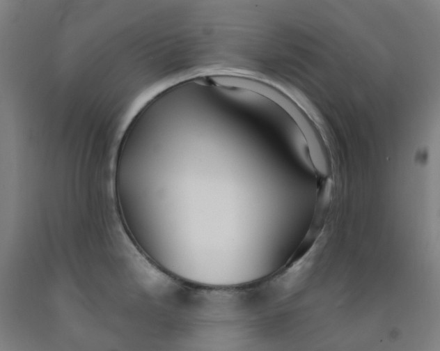X0000091971246200709271401