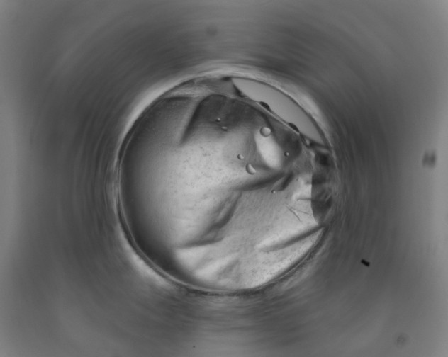 X0000091971247200709271401