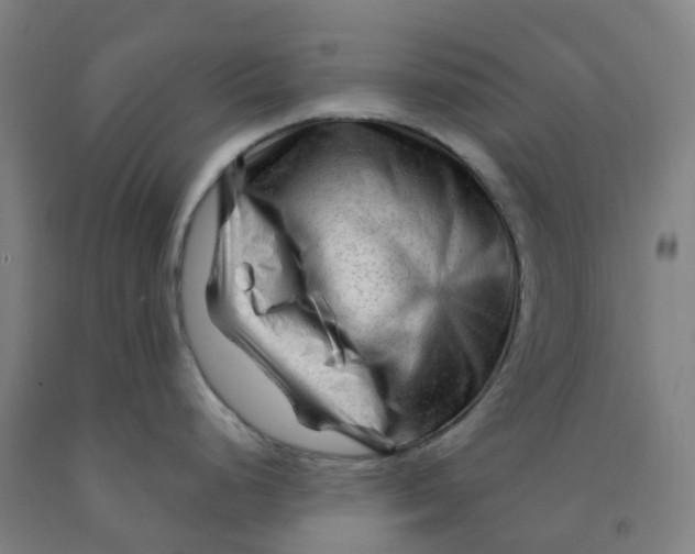X0000091971248200709271401