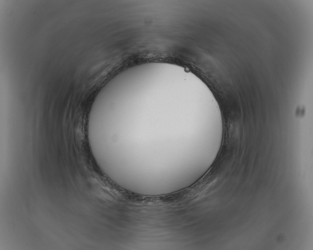 X0000091971250200709271400