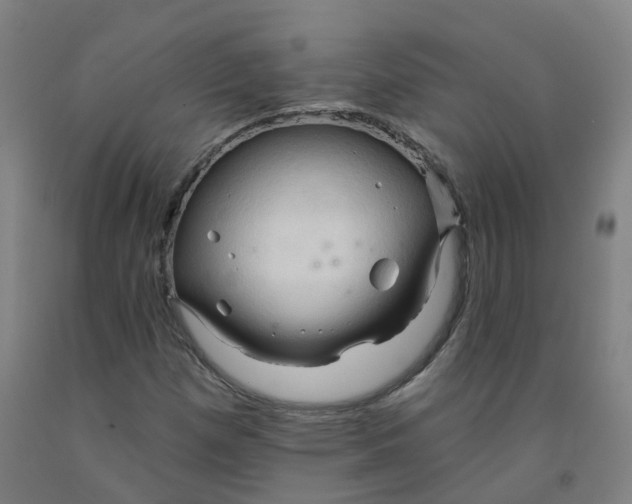X0000091971257200709271400