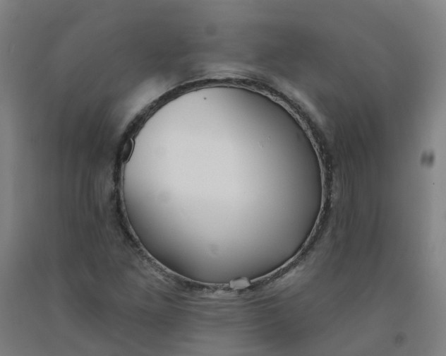 X0000091971261200709271400